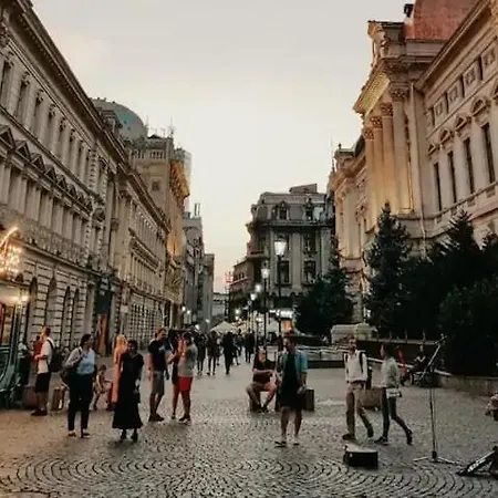 Universitate Bucharest